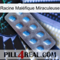 Racine Maléfique Miraculeuse viagra3
